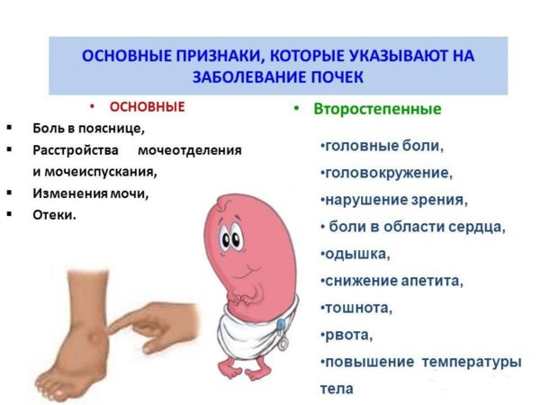 Симптомы заболевания почек