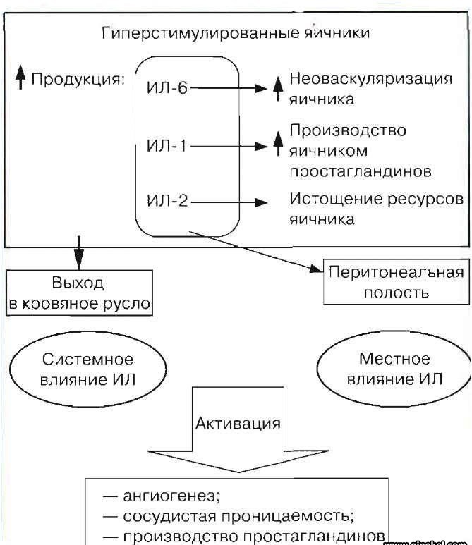 схема